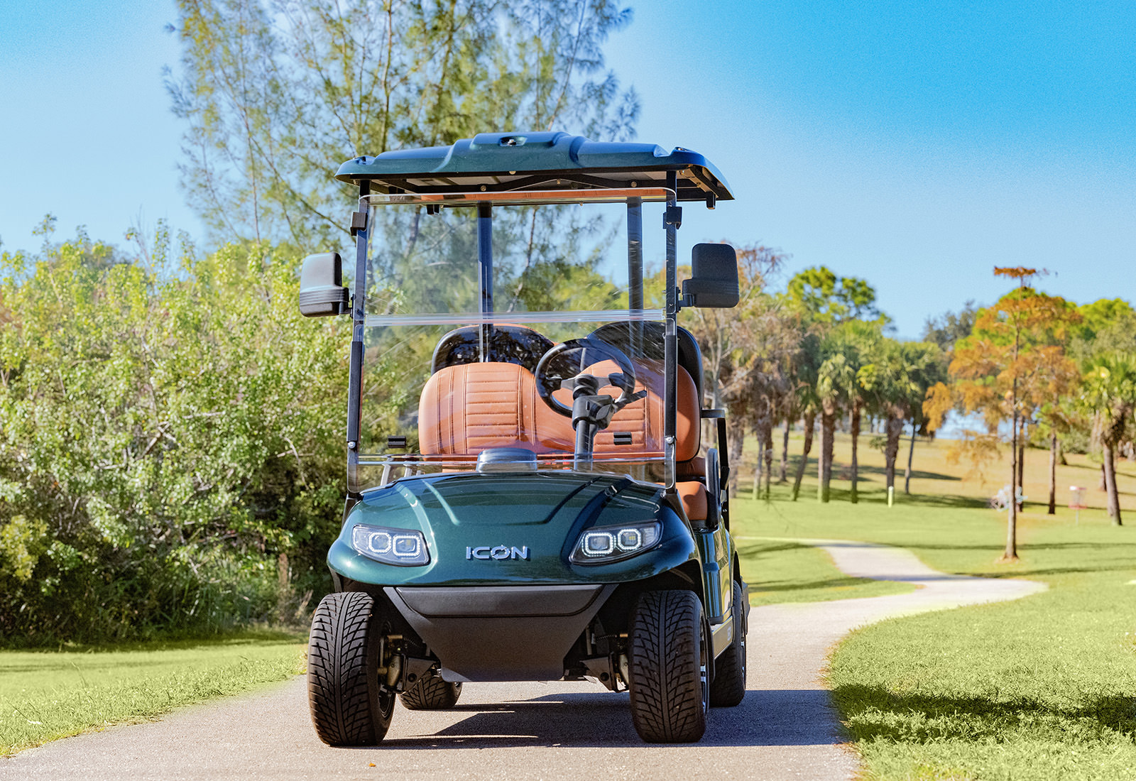 4 Passenger Golf Cart - Image 2