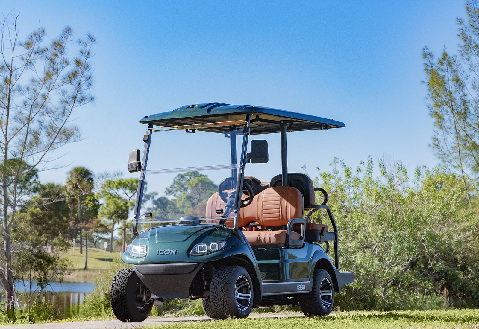 4 Passenger Golf Cart - Image 3
