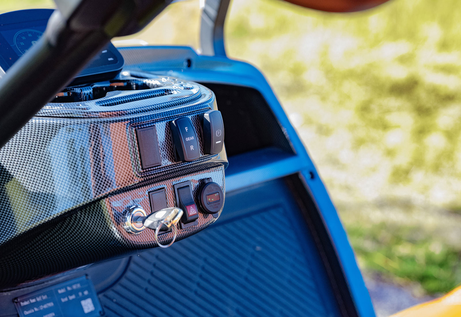 4 Passenger Golf Cart - Image 6